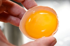 Gestione fasi di lavorazione uova