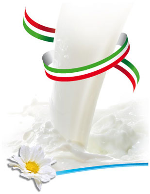 Produzione formaggi freschi