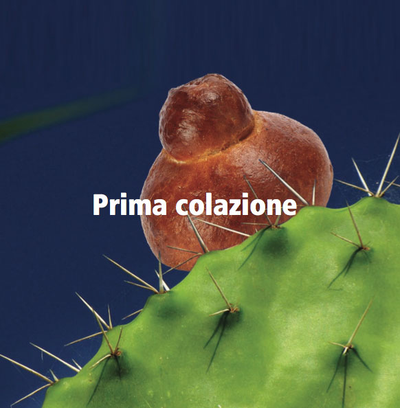 Prima colazione siciliana